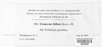 Image Associated With the Occurence